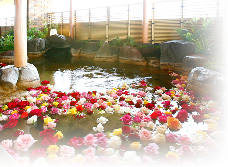 ご昼食＆温泉プラン