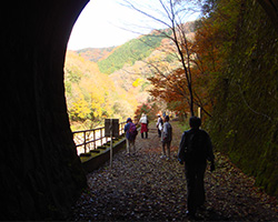 廃線ウォーキング