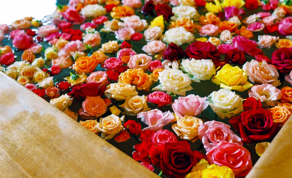 家族風呂で「バラ風呂」